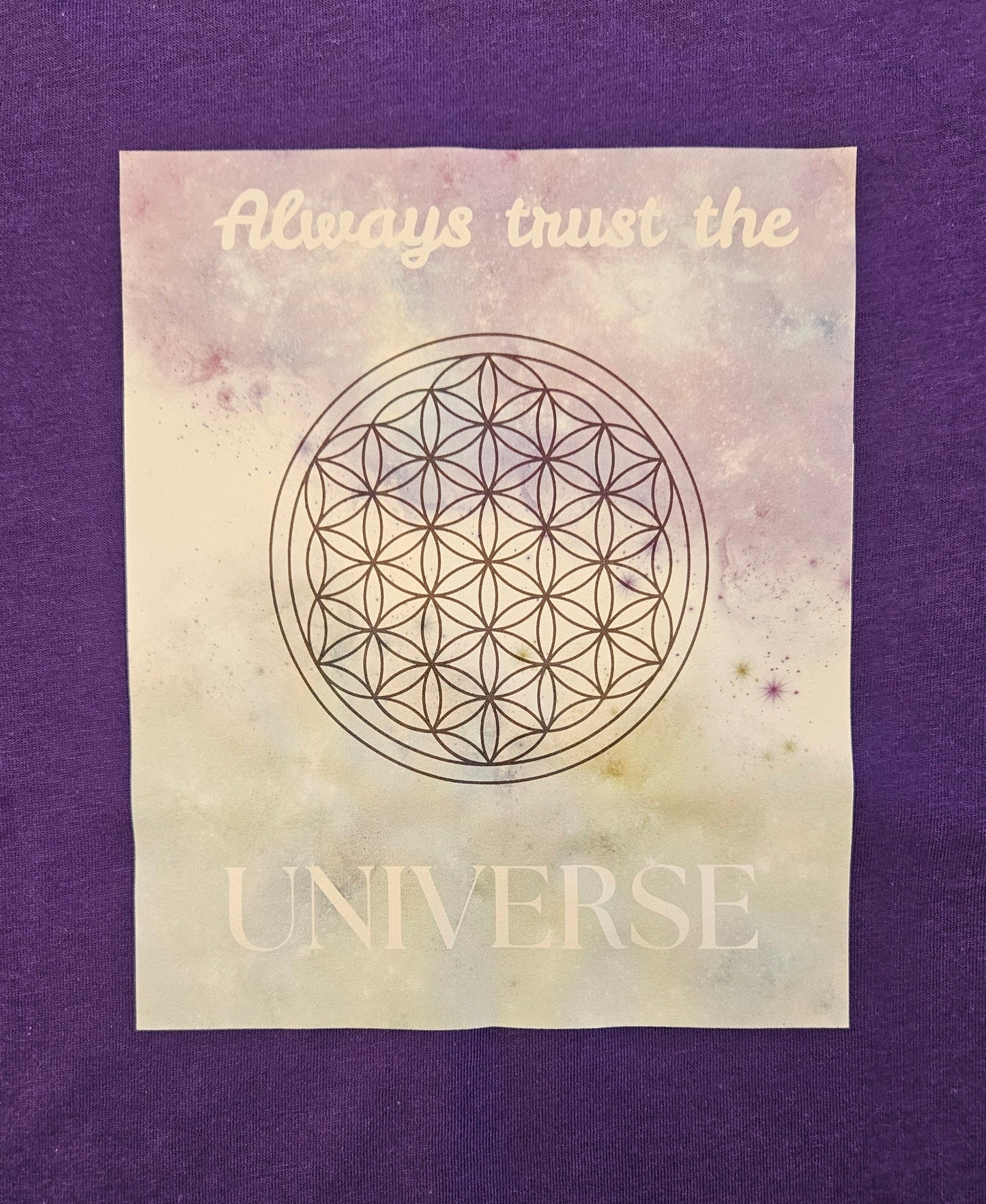 Trust the Universe Organic T-shirt